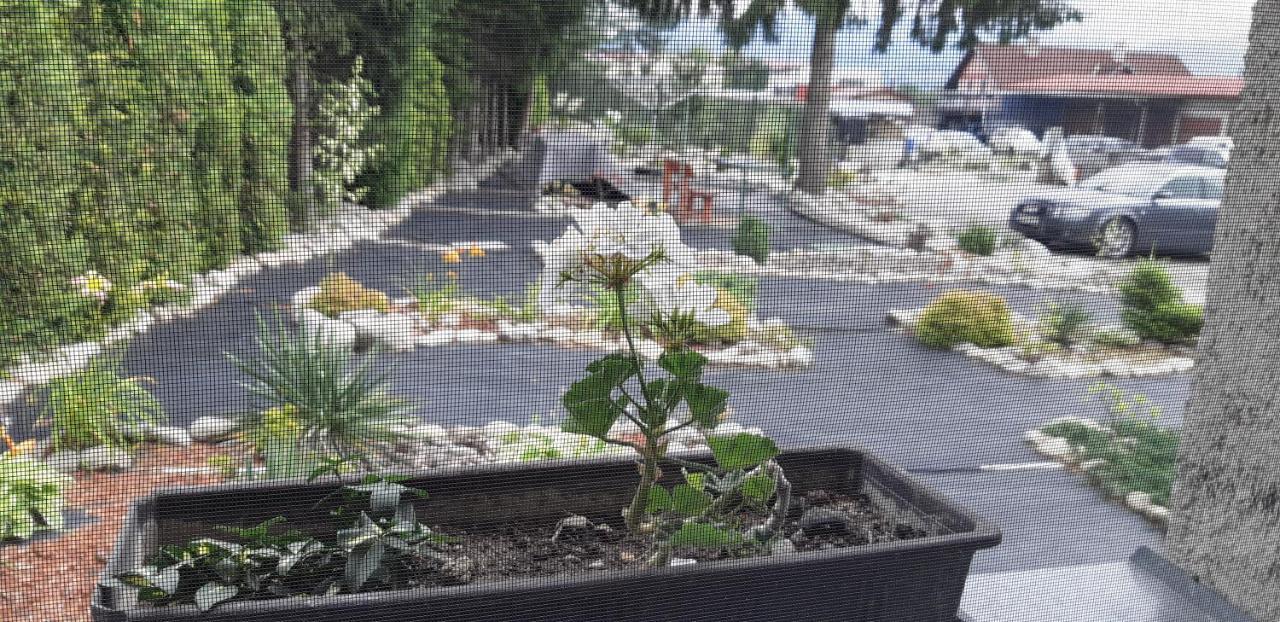 Apartman Yvet Sucany Εξωτερικό φωτογραφία