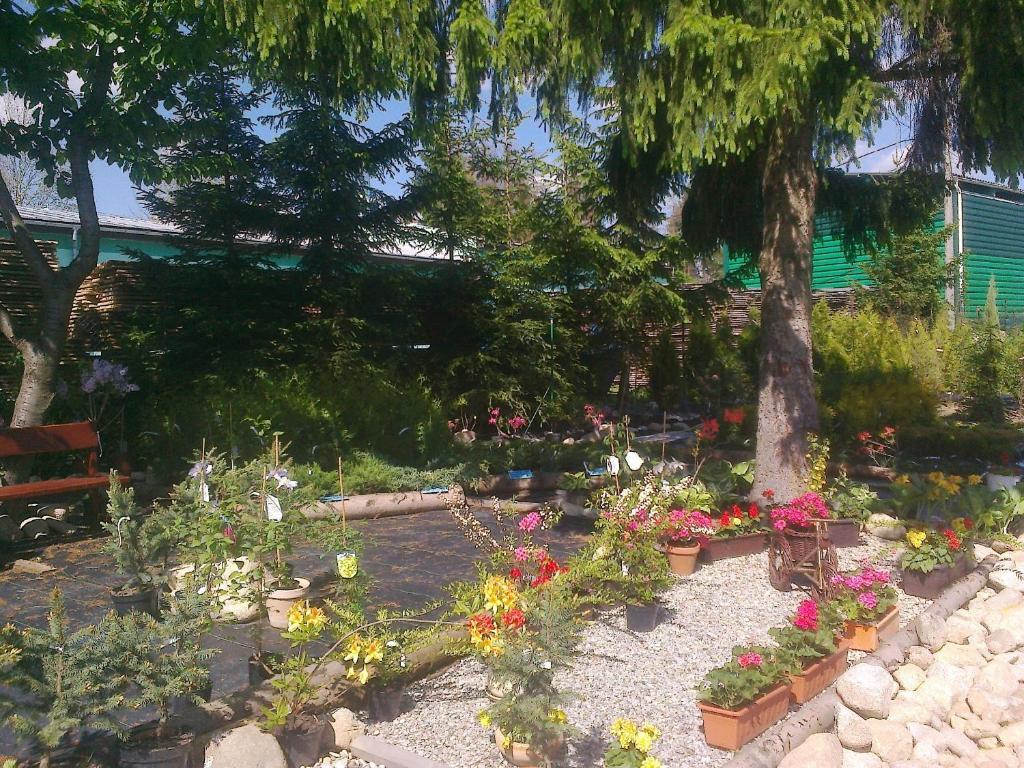 Apartman Yvet Sucany Εξωτερικό φωτογραφία
